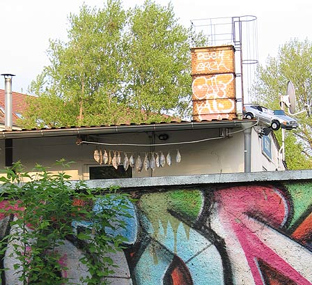 trocknende Fische in Friedrichshain