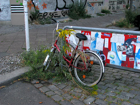 Fahrrad