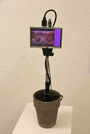 Oliver Orthuber - Skulptur „Blumenmaschine“ 